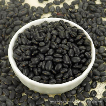 ALIBABA USED EXCLUSIVELY Small Black Beans (GF4)